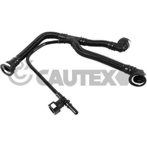 Schlauch Kurbelgehäuseentlüftung Cautex 757375 für Citroën/peugeot DS