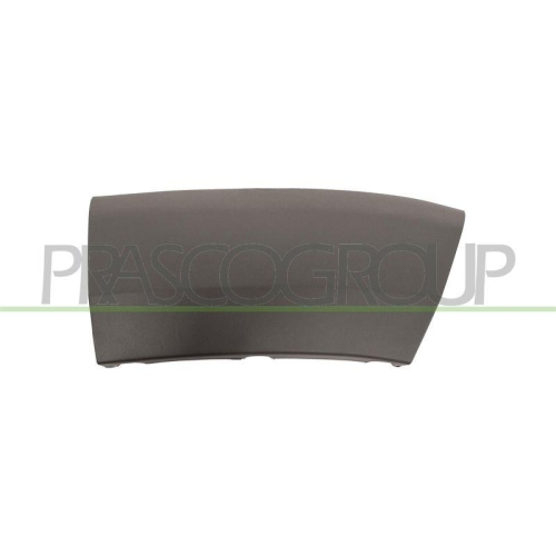 Zier /schutzleiste Kotfl&uuml;gel Prasco FT9301573 f&uuml;r Citro&euml;n Fiat Peugeot