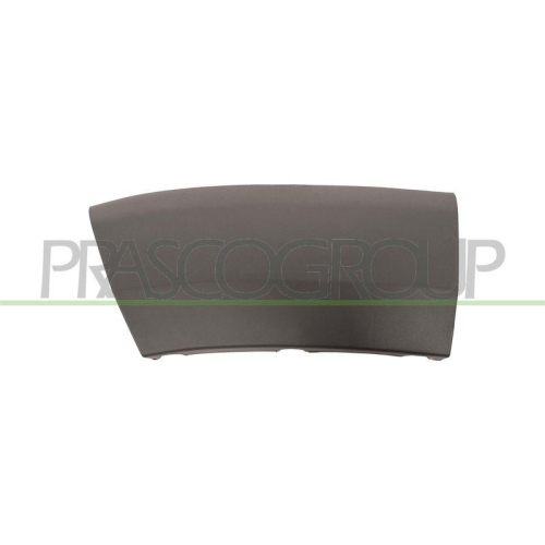 Zier /schutzleiste Kotfl&uuml;gel Prasco FT9301574 f&uuml;r Citro&euml;n Fiat Peugeot