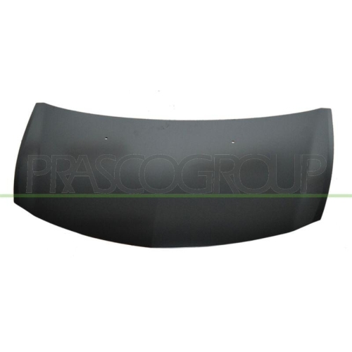 Motorhaube Prasco RN3273100 für Renault