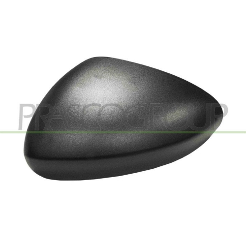 Cover Exterior Mirror Prasco FT4487404 for Fiat