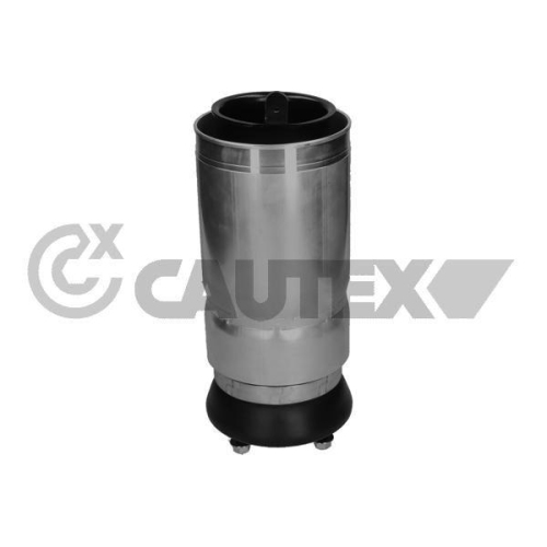 Luftfeder Fahrwerk Cautex 752867 f&uuml;r Land Rover Vorderachse