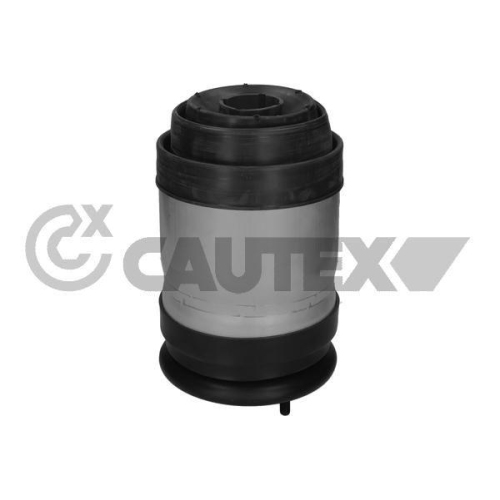 Luftfeder Fahrwerk Cautex 752888 für Land Rover Hinterachse