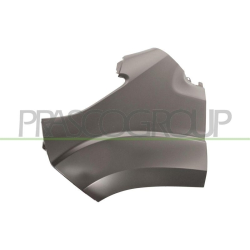 Kotfl&uuml;gel Prasco FT9323004 f&uuml;r Citro&euml;n Fiat Peugeot Vorne Links