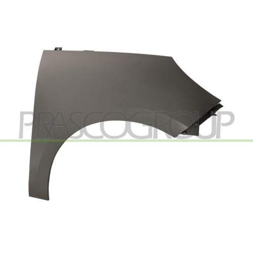 Kotfl&uuml;gel Prasco RN0383013 f&uuml;r Renault Vorne Rechts