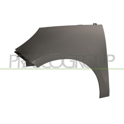 Kotfl&uuml;gel Prasco RN0383014 f&uuml;r Renault Vorne Links
