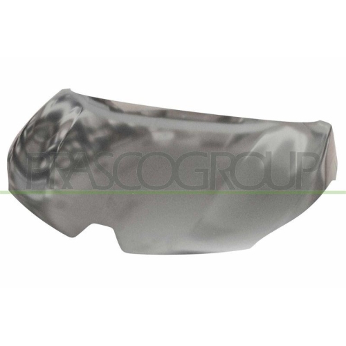 Motorhaube Prasco RN7003100 für Renault