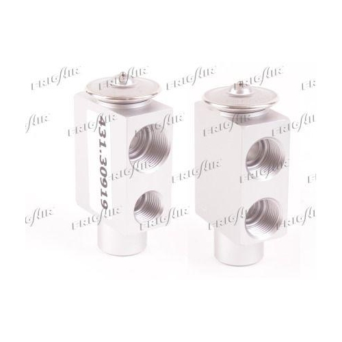 Einspritzd&uuml;se Expansionsventil Frigair 431.30919 f&uuml;r Bmw Mercedes Benz Porsche