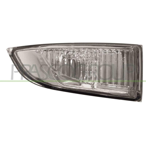 Blinkleuchte Prasco RN4247415 für Renault Außenspiegel Außenspiegel Rechts