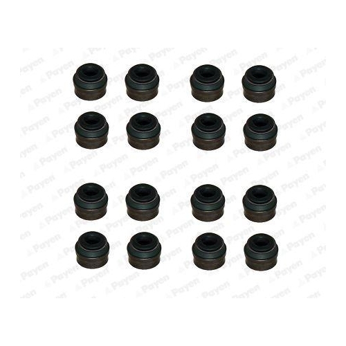 Dichtungssatz Ventilschaft Payen HR814 f&uuml;r Fiat Renault Dacia