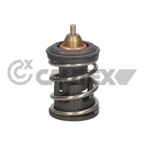Thermostat Coolant Cautex 774572 for Audi Seat Skoda VW