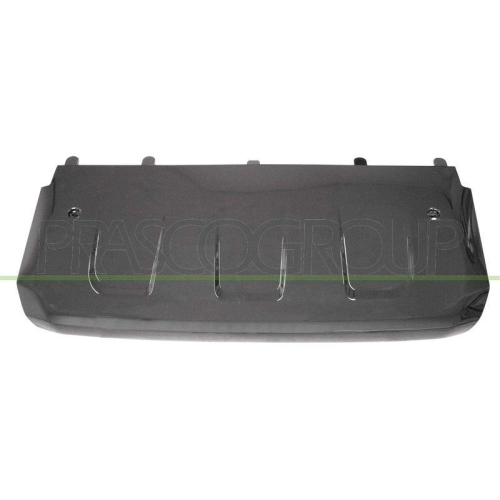 Zier /schutzleiste Sto&szlig;f&auml;nger Prasco JG8001811 f&uuml;r Jaguar Vorne