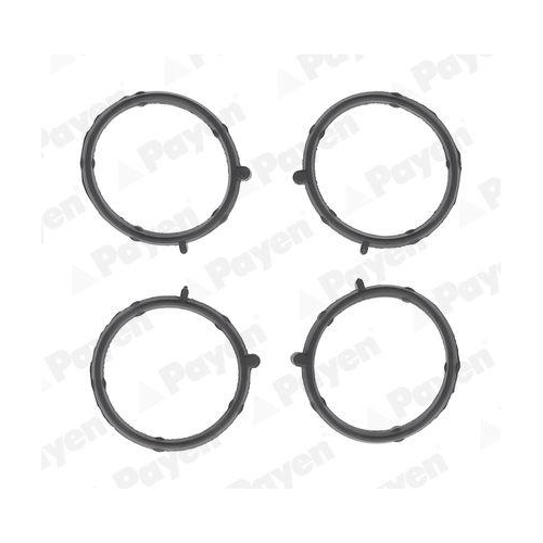 Dichtung Ansaugkr&uuml;mmergeh&auml;use Payen JA5011 f&uuml;r Fiat