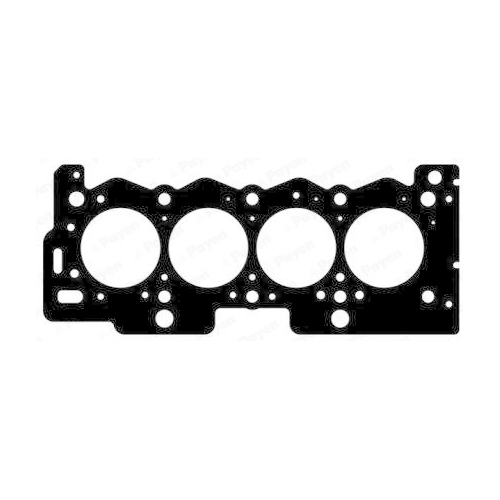 Dichtung Zylinderkopf Payen AD5701 f&uuml;r Citro&euml;n Fiat Peugeot