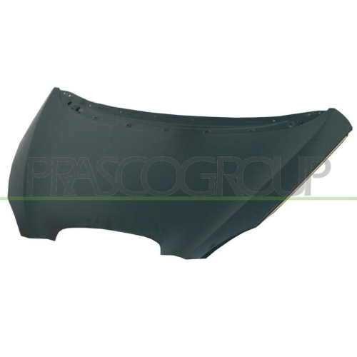 Motorhaube Prasco ST3203100 für Seat