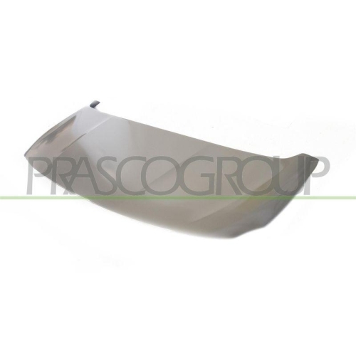 Motorhaube Prasco PG9133100 für Citroën Peugeot