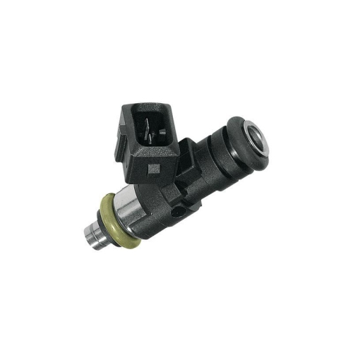 Einspritzventil Bosch 0280158170 für Renault