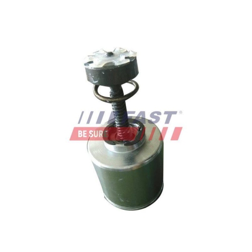 Kolben Bremssattel Fast FT32289 f&uuml;r Iveco Fiat / Lancia Hinterachse