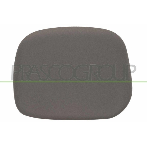 Abdeckung Au&szlig;enspiegel Prasco PG9047413 f&uuml;r Citro&euml;n Peugeot Rechts