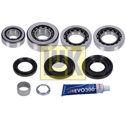 Reparatursatz Differential Schaeffler Luk 462 0330 10 Luk Gearbox für Bmw