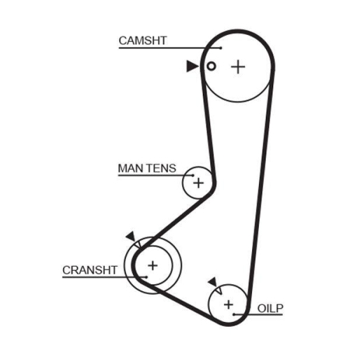 Zahnriemen Gates 5372XS Powergrip™ für Mitsubishi Hyundai Dana