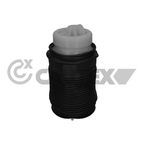 Luftfeder Fahrwerk Cautex 753190 f&uuml;r Mercedes Benz Mercedes Benz Mercedes Benz