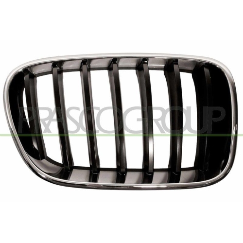 Radiator Grille Prasco BM8042003 for Bmw