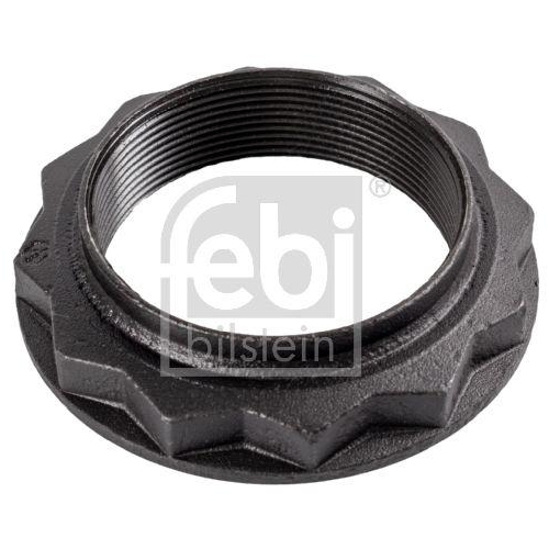 Mutter Achszapfen Febi Bilstein 46180 f&uuml;r Iveco Hinterachse