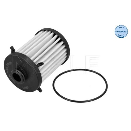 Hydraulikfilter Automatikgetriebe Meyle 1001361007 Meyle-original: True To Oe.