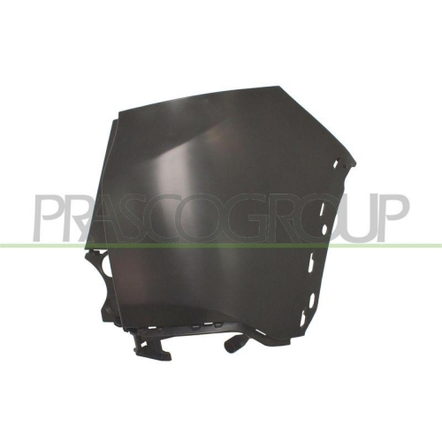 Sto&szlig;f&auml;nger Prasco PG5021153 f&uuml;r Peugeot Hinten Rechts