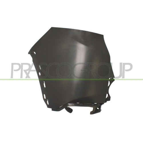 Stoßfänger Prasco PG5021154 für Peugeot Hinten Links