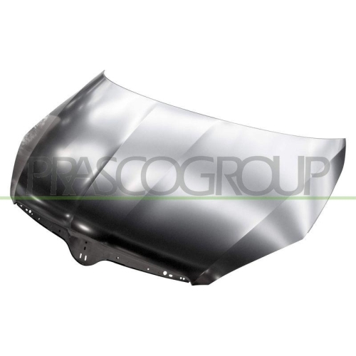 Motorhaube Prasco SK3253100 für Skoda