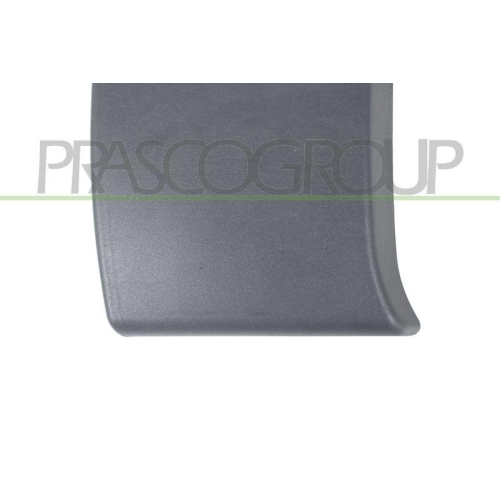 Zier /schutzleiste T&uuml;r Prasco DS9521415 f&uuml;r Nissan Vorne Rechts