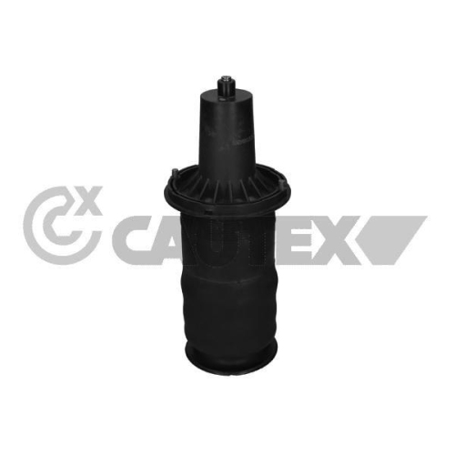 Luftfeder Fahrwerk Cautex 753462 für Land Rover Vorderachse