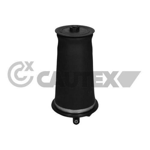 Luftfeder Fahrwerk Cautex 753484 für Land Rover Hinterachse