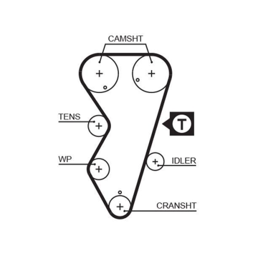 Zahnriemen Gates 5412XS Powergrip™ für Citroën Peugeot Dana