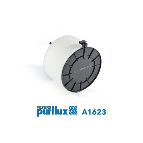Luftfilter Purflux A1623 f&uuml;r Audi Vag
