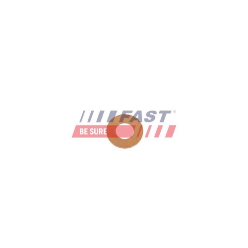 W&auml;rmeschutzscheibe Einspritzanlage Fast FT11612 f&uuml;r Chrysler Fiat Mercedes Benz