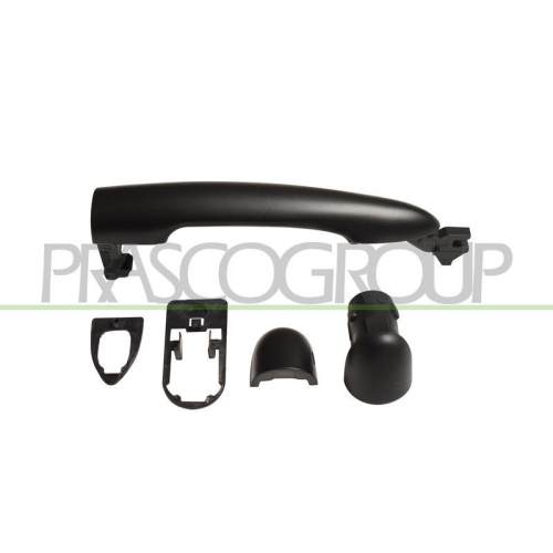 Türaußengriff Prasco RN4208211 für Renault Außen Hinten Links Hinten Rechts