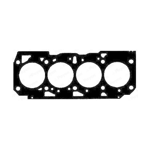 Dichtung Zylinderkopf Payen BZ801 f&uuml;r Fiat