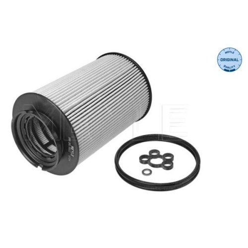 Fuel Filter Meyle 1002010012 Meyle-original: True To Oe. for Audi Seat Skoda VW