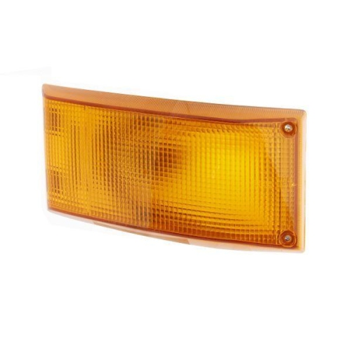 Blinkleuchte Hella 2BA 004 119-001 f&uuml;r Auw&auml;rter Man Mercedes Benz Mercedes Benz