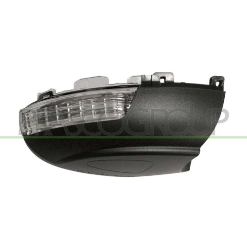 Blinkleuchte Prasco VG8077415 für Skoda VW Außenspiegel Außenspiegel Rechts