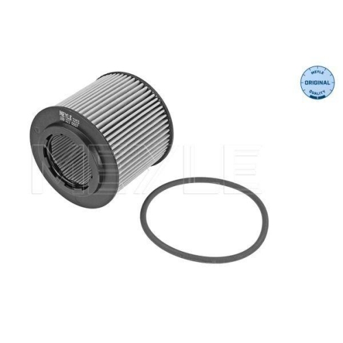 &Ouml;lfilter Meyle 1003220007 Meyle-original: True To Oe. f&uuml;r Seat Skoda VW