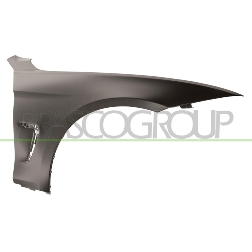 Kotfl&uuml;gel Prasco BM3903013 f&uuml;r Bmw Vorne Rechts