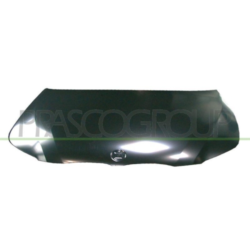 Motorhaube Prasco BM0463100 für Bmw