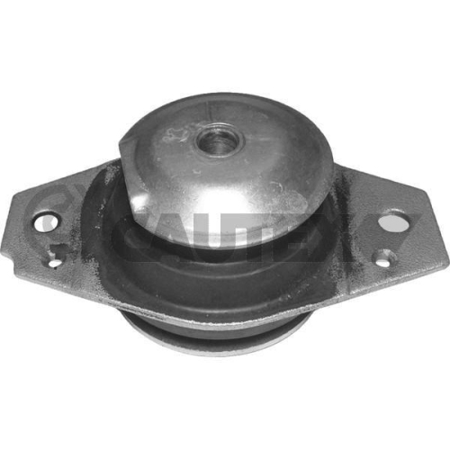 Lagerung Motor Cautex 756025 f&uuml;r Fiat Rechts