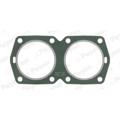 Dichtung Zylinderkopf Payen BD790 f&uuml;r Fiat