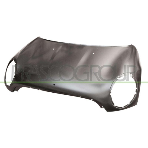 Motorhaube Prasco MN3083100 Premium für Mini