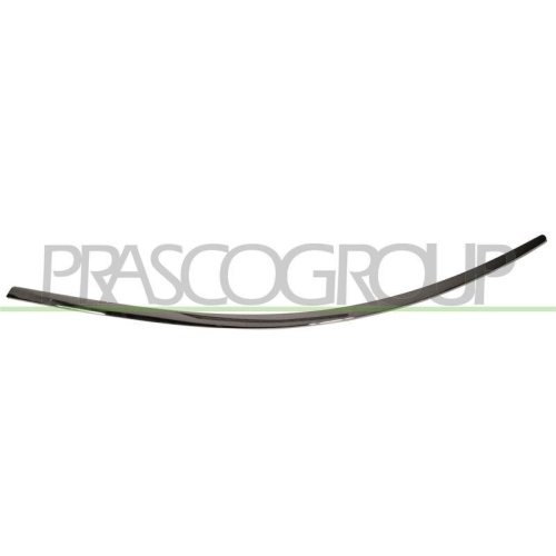 Zier /schutzleiste Sto&szlig;f&auml;nger Prasco ME3241263 f&uuml;r Mercedes Benz Hinten Rechts